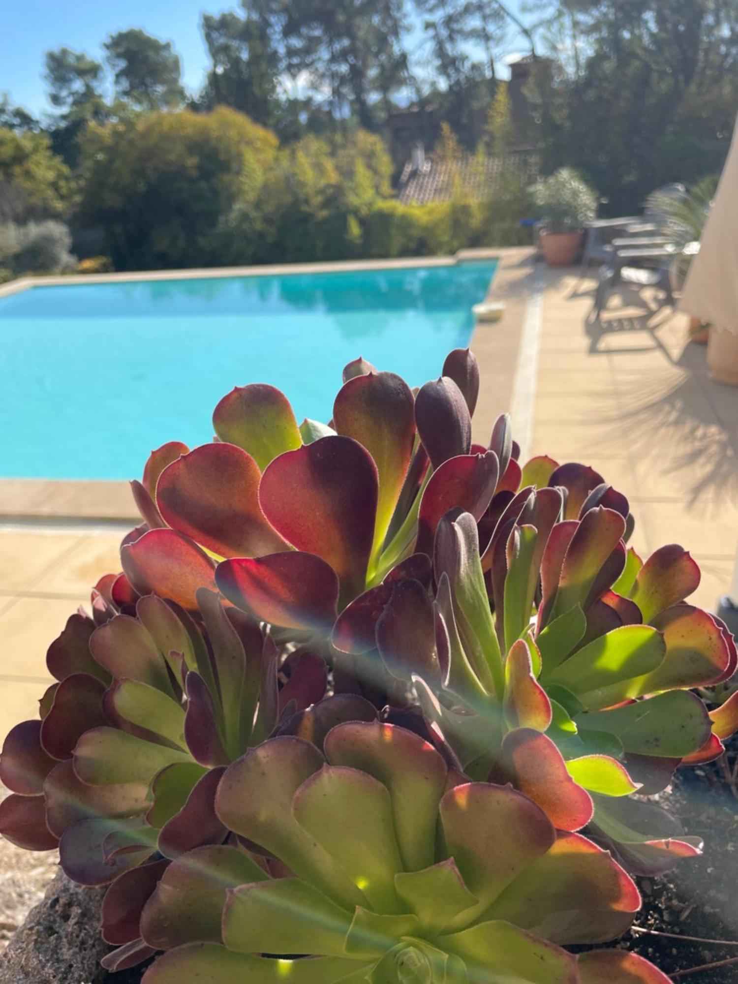 O Coeur Des Ocres Apartamento Roussillon en Isere Exterior foto