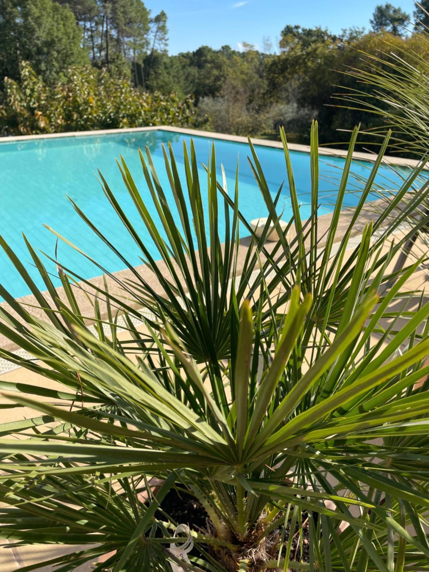 O Coeur Des Ocres Apartamento Roussillon en Isere Exterior foto